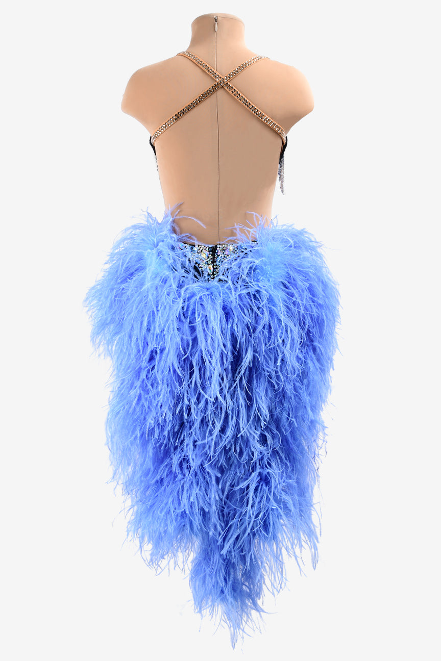 Permino black matt lycra Latin dress with AB sew-on stones, silver beaded fringes, black fringes & blue feathers