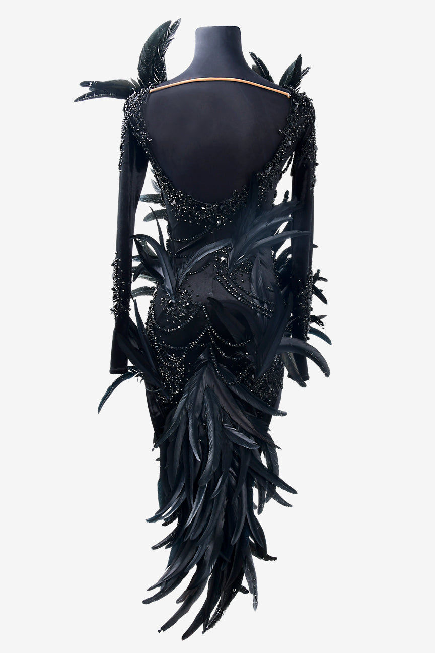 Permino black stretch velvet Latin dress with mesh sleeves, beadings, feathers, crystals & sew-on stones