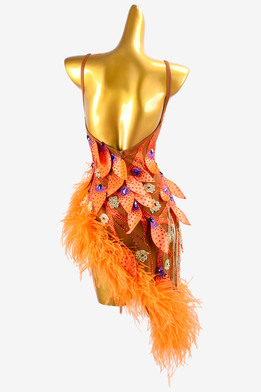 Permino sun oranger mesh Latin dress with rhinestone applique, beaded fringes, feathers & crystals
