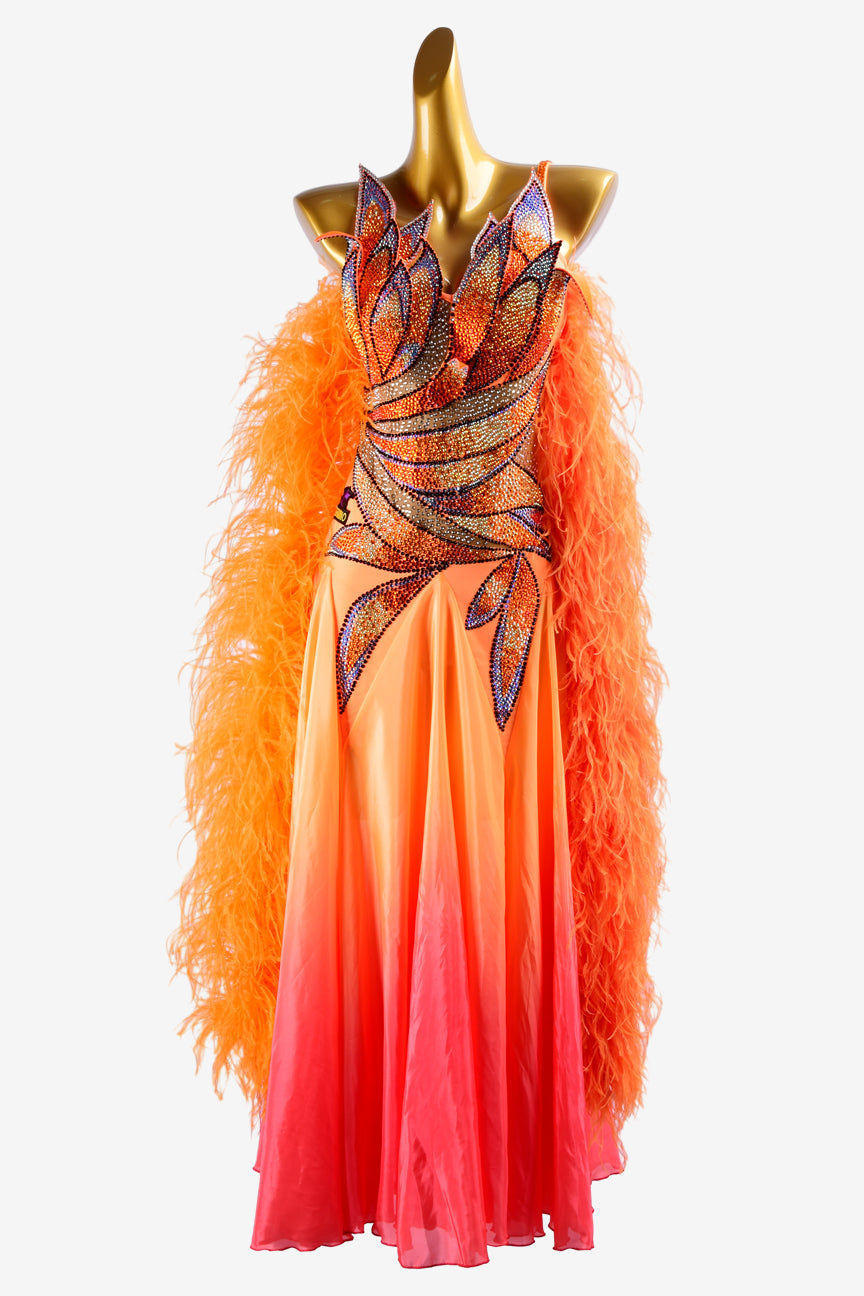 Permino orange lycra Standard dress with shaded pearl chiffon underskirt, rhinestone applique & feather boas