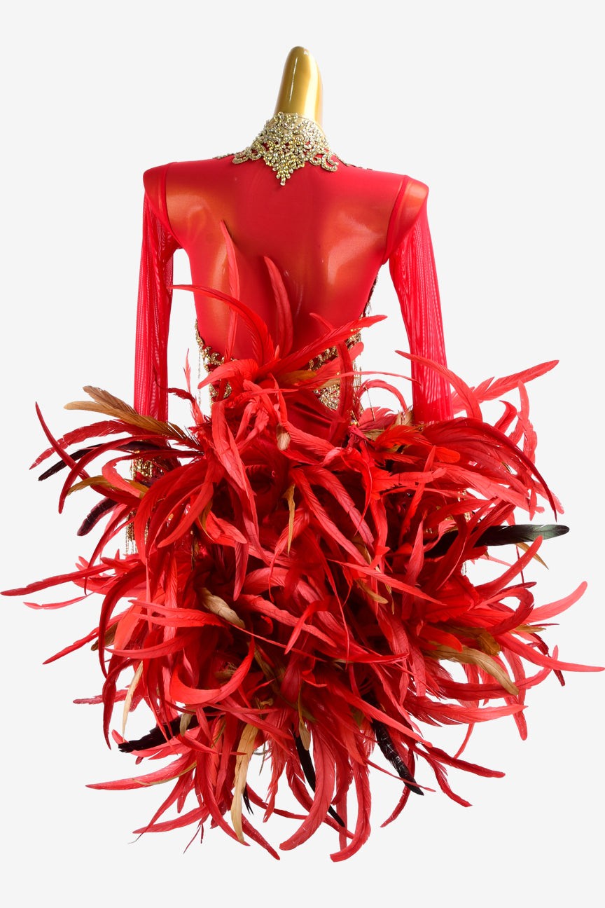 Permino crimson mesh Latin dress with lace appliqués, feathers, gold beaded fringes & crystal AB