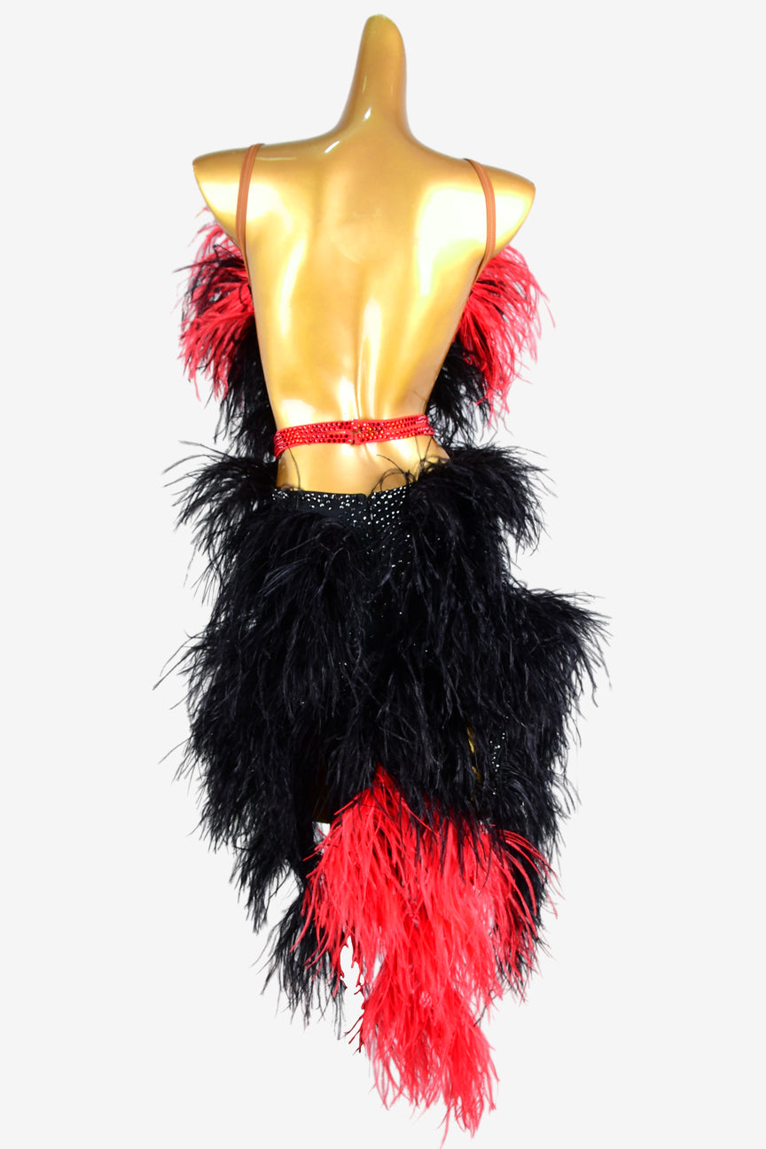 Permino black matt lycra backless Latin dress with rhinestones, black & red feathers