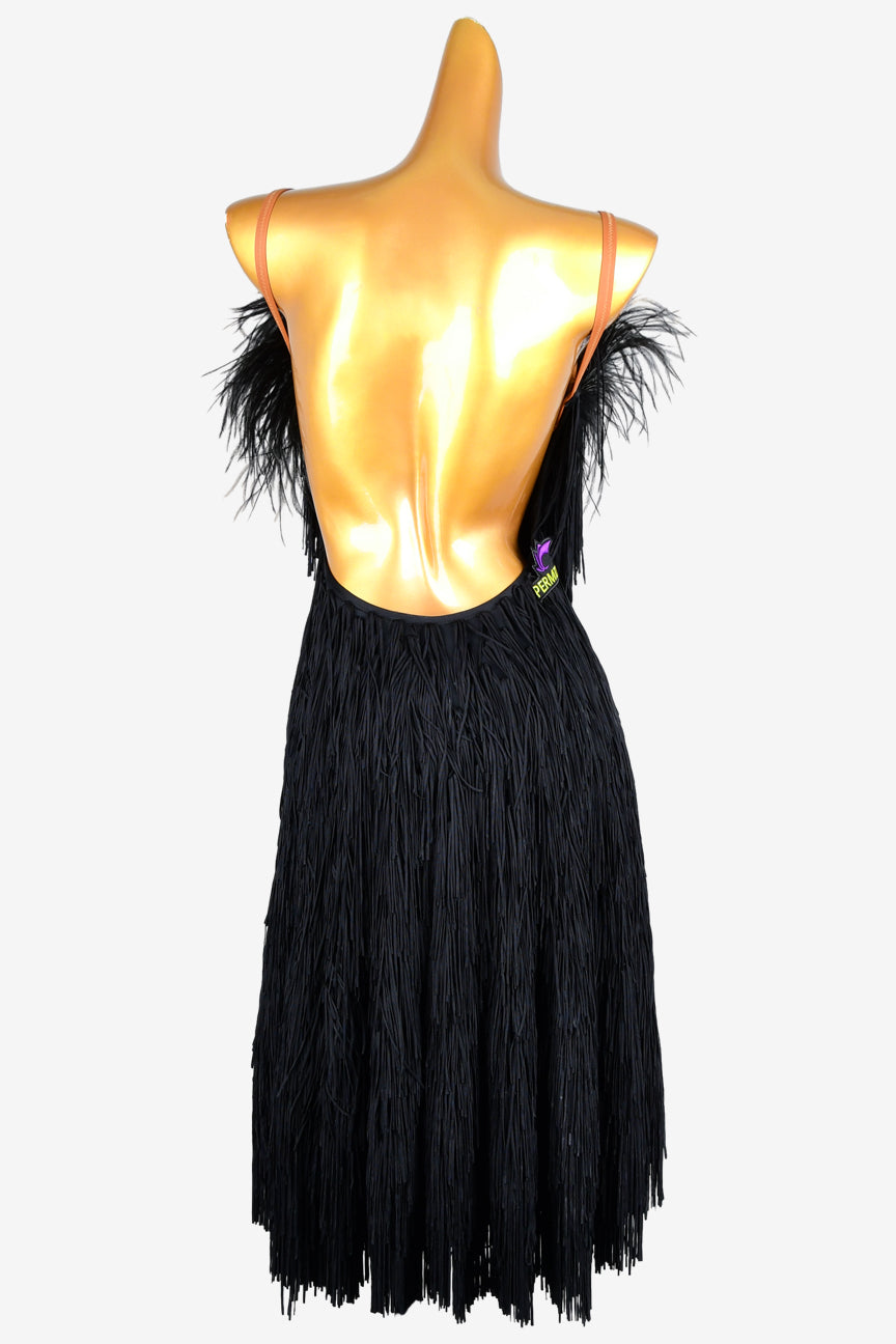 Permino black matt lycra backless Latin dress with fringes and feathers