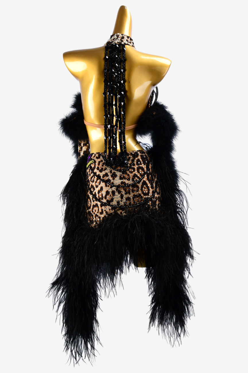 Permino leopard print Latin dress with feather and crystal AB